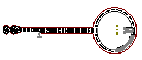 5str banjo