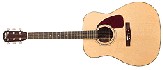 fender