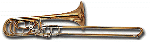 t-bone